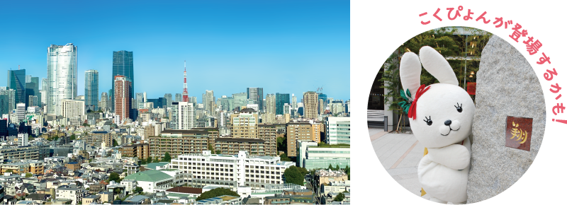 こくぴょんが登場するかも！